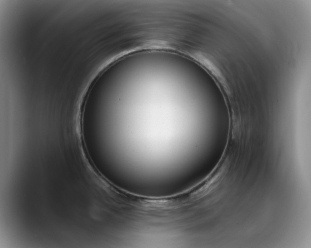 X0000089901342200707121842