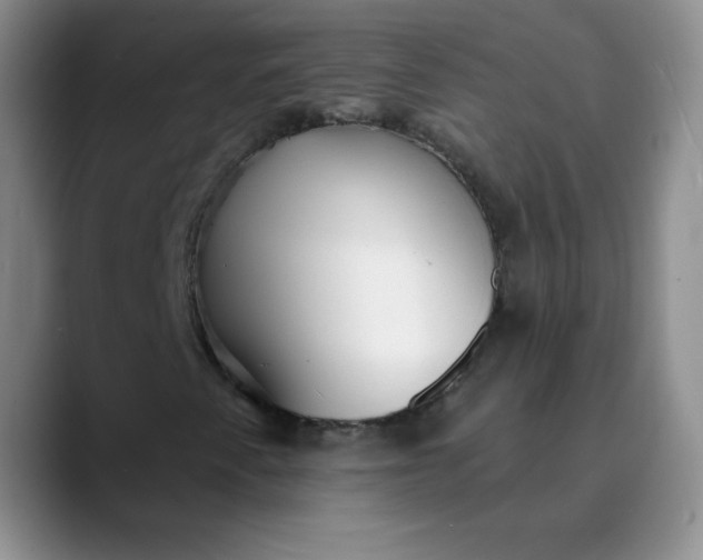 X0000089901345200707121842