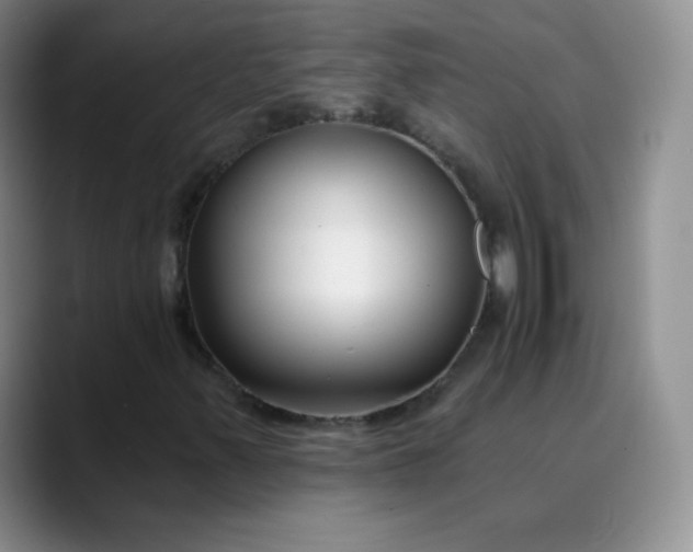 X0000089901347200707121842