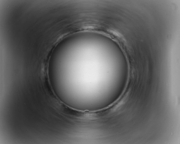 X0000089901353200707121842