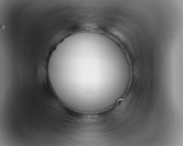 X0000089901354200707121841