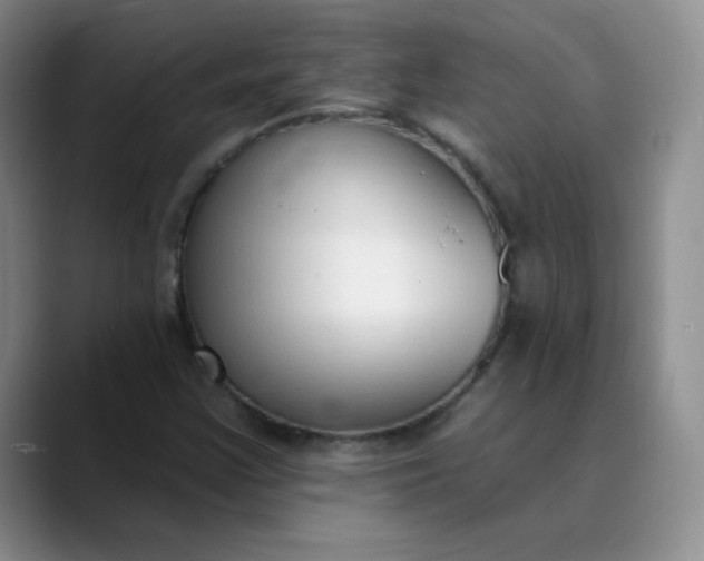 X0000089901355200707121841