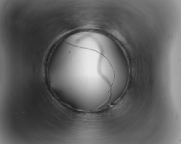 X0000089901356200707121841
