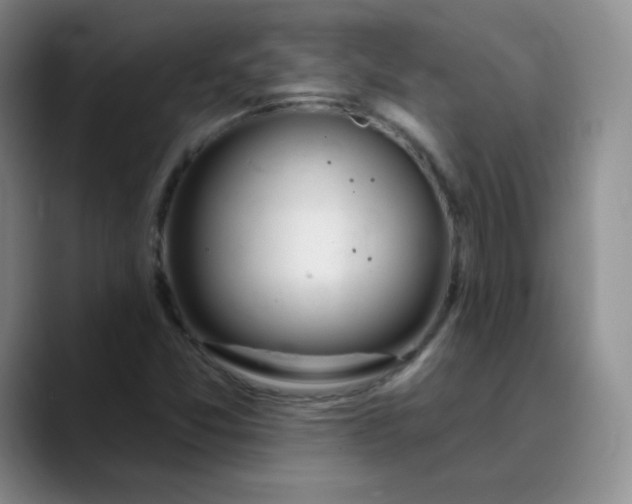 X0000089901357200707121841