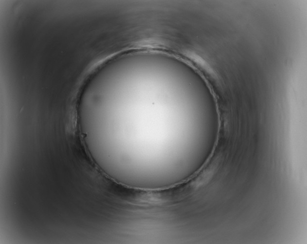 X0000089901358200707121841