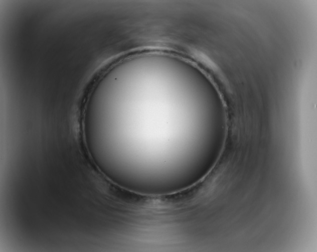 X0000089901360200707121841