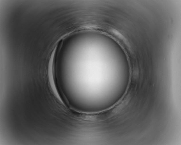 X0000089901361200707121841
