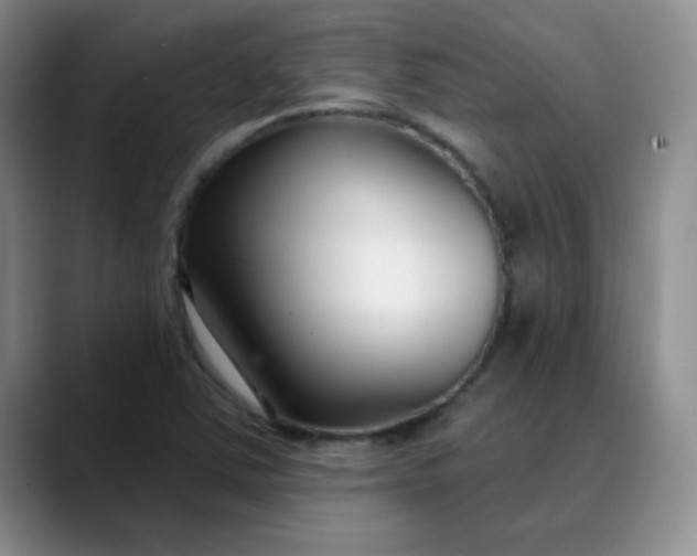 X0000089901363200707121841