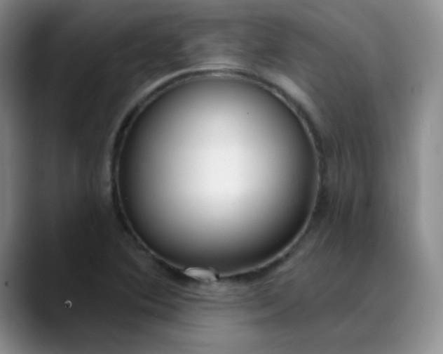 X0000089901364200707121841