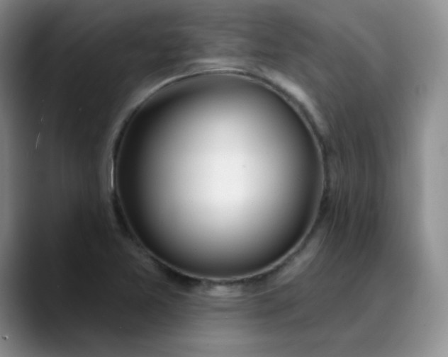 X0000089901365200707121841