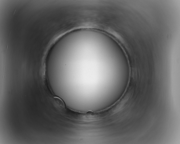 X0000089901366200707121841
