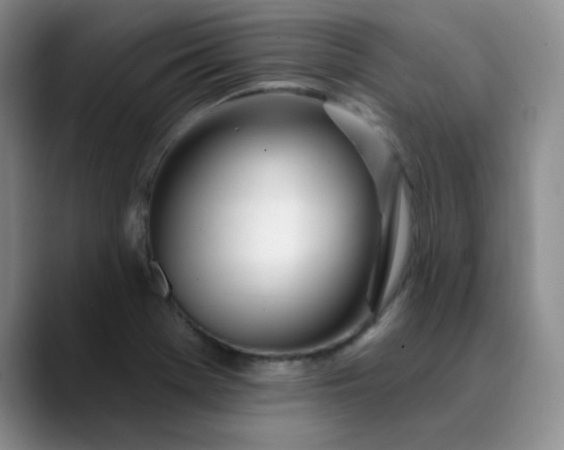 X0000089901369200707121841