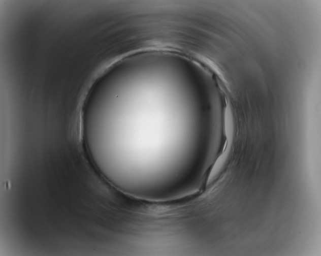 X0000089901371200707121841