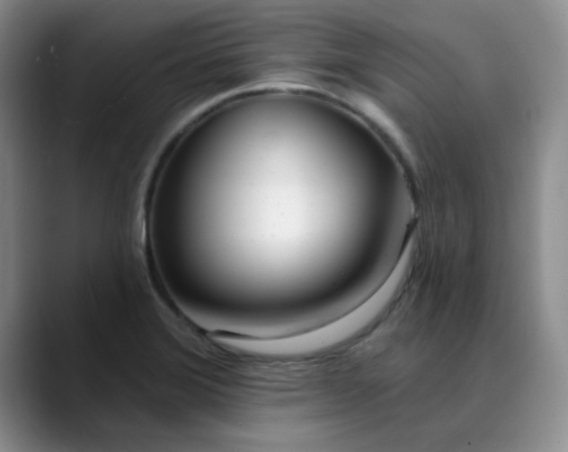 X0000089901372200707121841