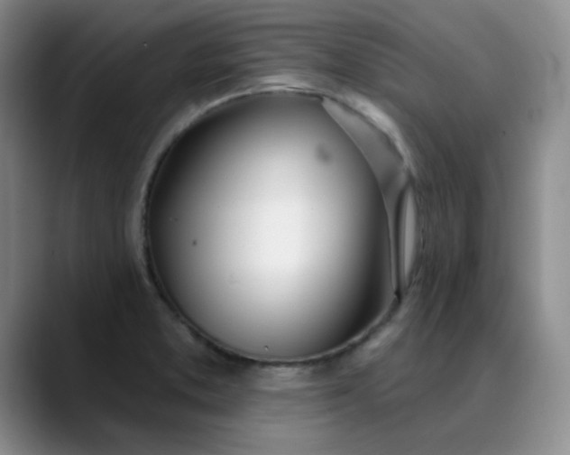 X0000089901373200707121841