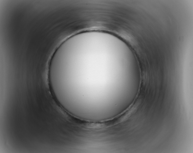 X0000089901374200707121841