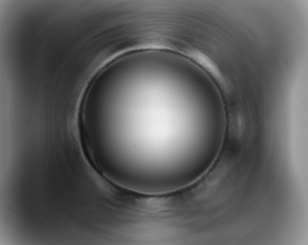 X0000089901380200707121841
