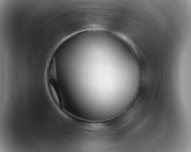 X0000089901383200707121841