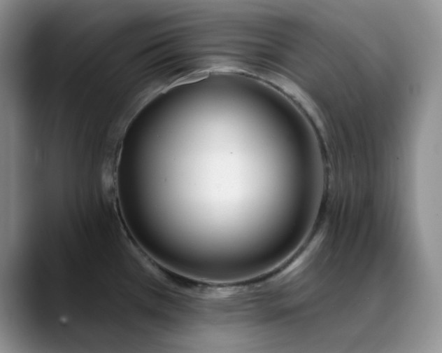 X0000089901385200707121841