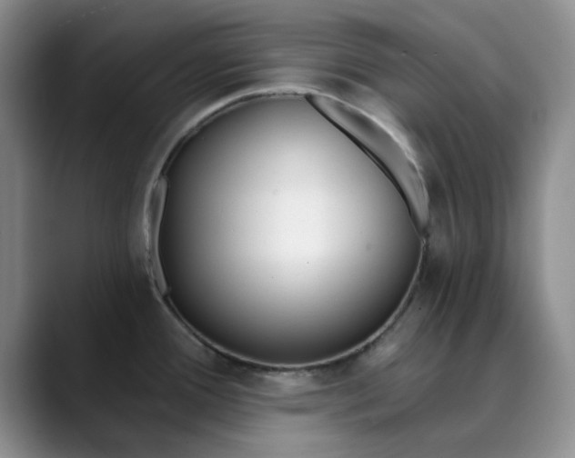 X0000089901388200707121841
