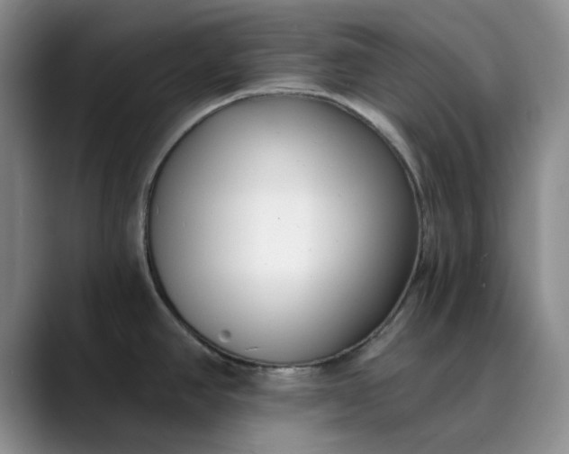 X0000089901390200707121841