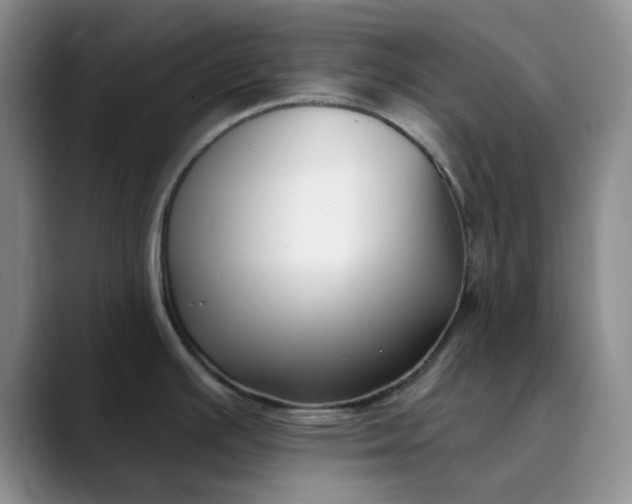 X0000089901391200707121841