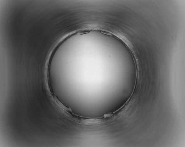 X0000089901392200707121841