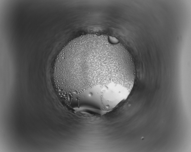 X0000089901393200707121840