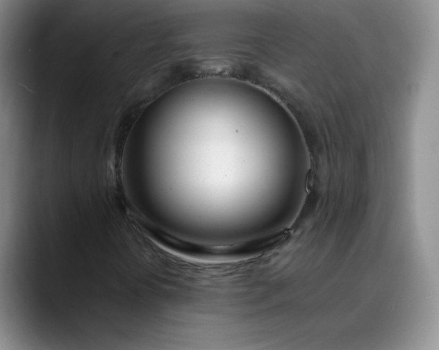 X0000089901394200707121841