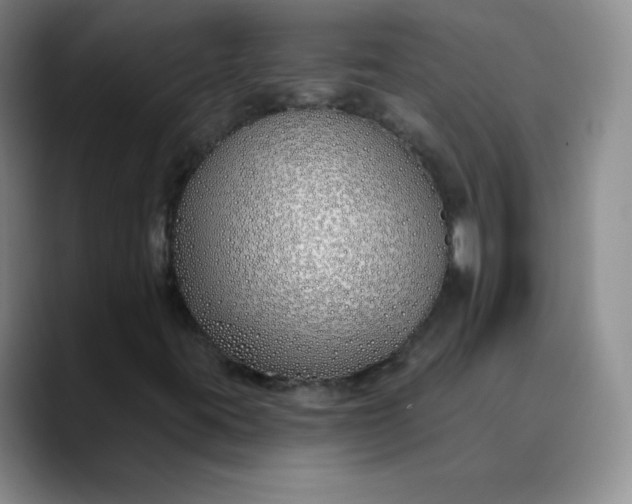 X0000089901395200707121841