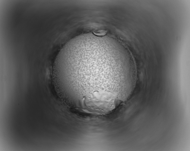 X0000089901397200707121841