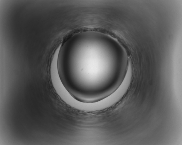 X0000089901398200707121841