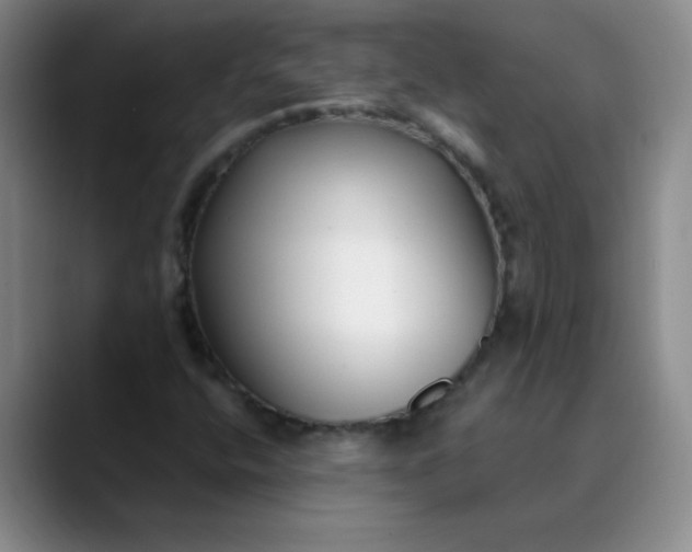 X0000089901400200707121841