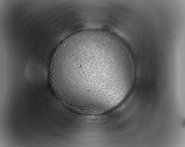 X0000089901401200707121841