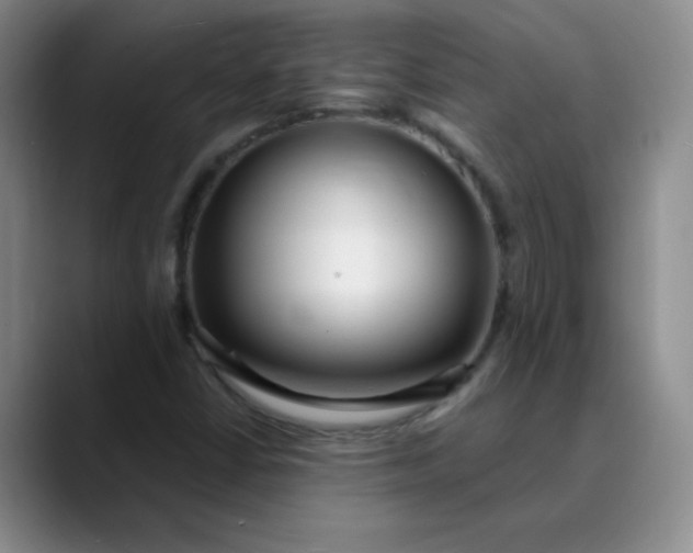 X0000089901402200707121841