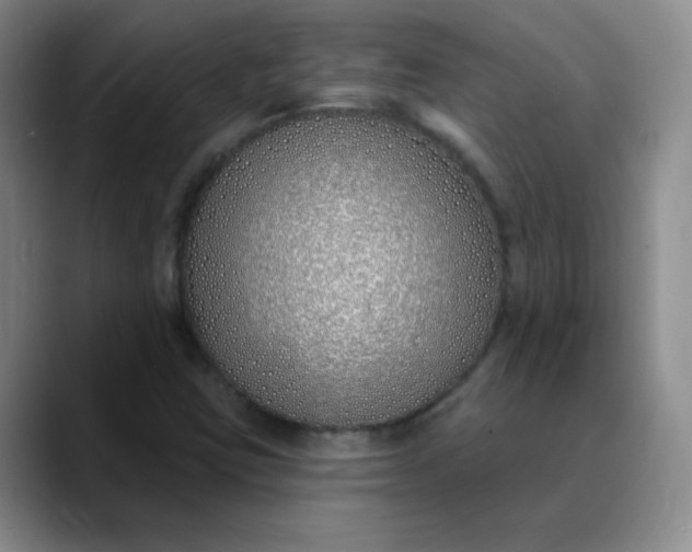 X0000089901403200707121841