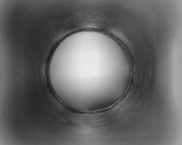 X0000089901404200707121841