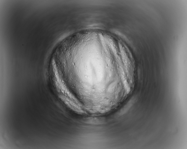 X0000089901405200707121841