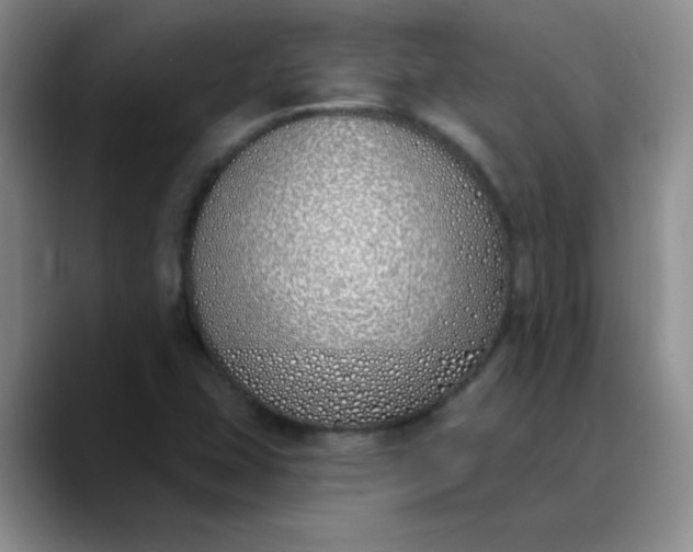 X0000089901407200707121841