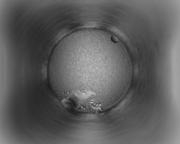 X0000089901409200707121841