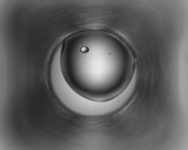 X0000089901410200707121841
