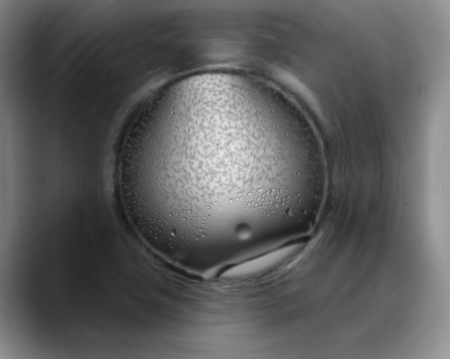 X0000089901411200707121841