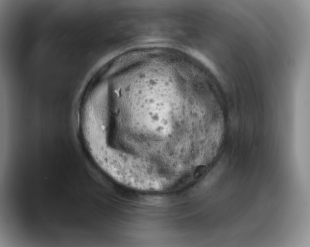 X0000089901413200707121841