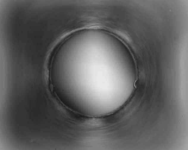 X0000089901414200707121841
