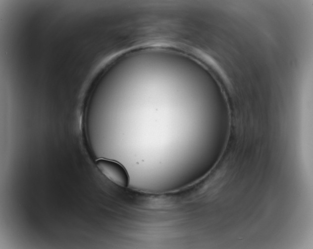 X0000089901416200707121841