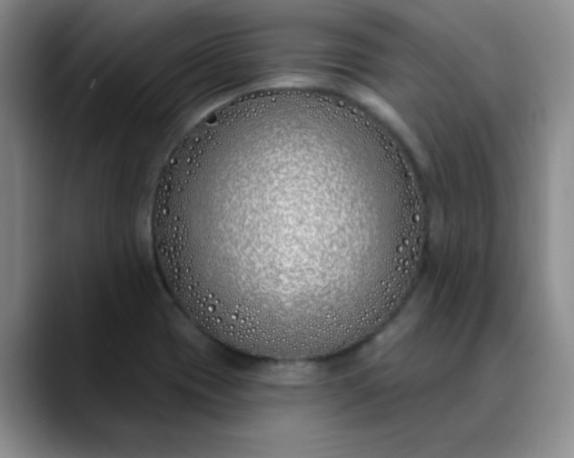 X0000089901417200707121841