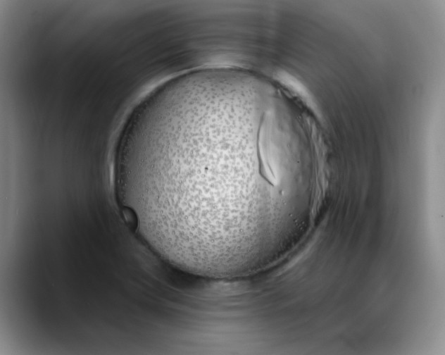 X0000089901419200707121841
