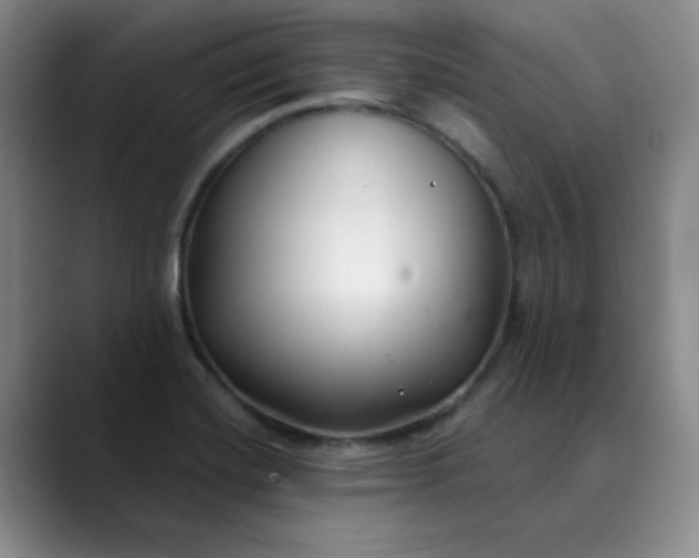 X0000089901420200707121841