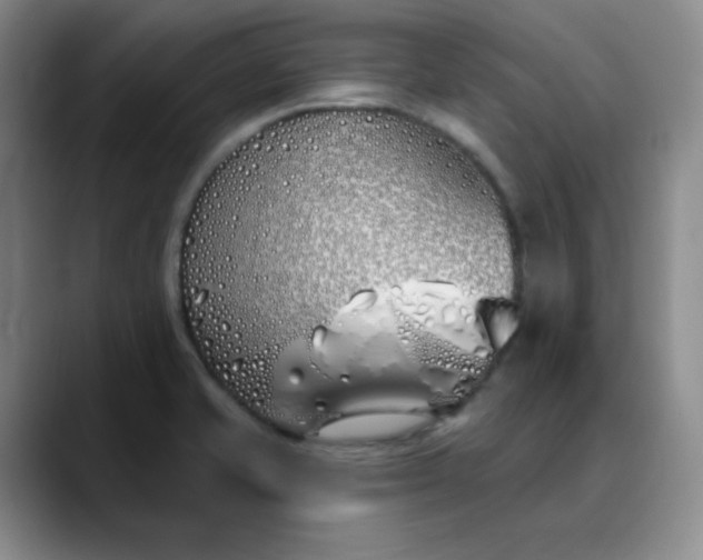 X0000089901421200707121841