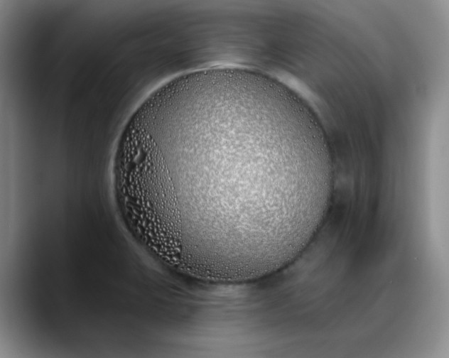 X0000089901423200707121841